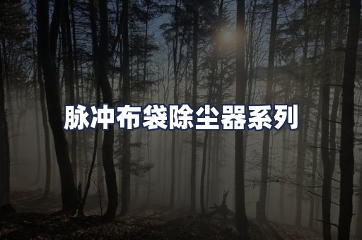 脉冲布袋除尘器系列